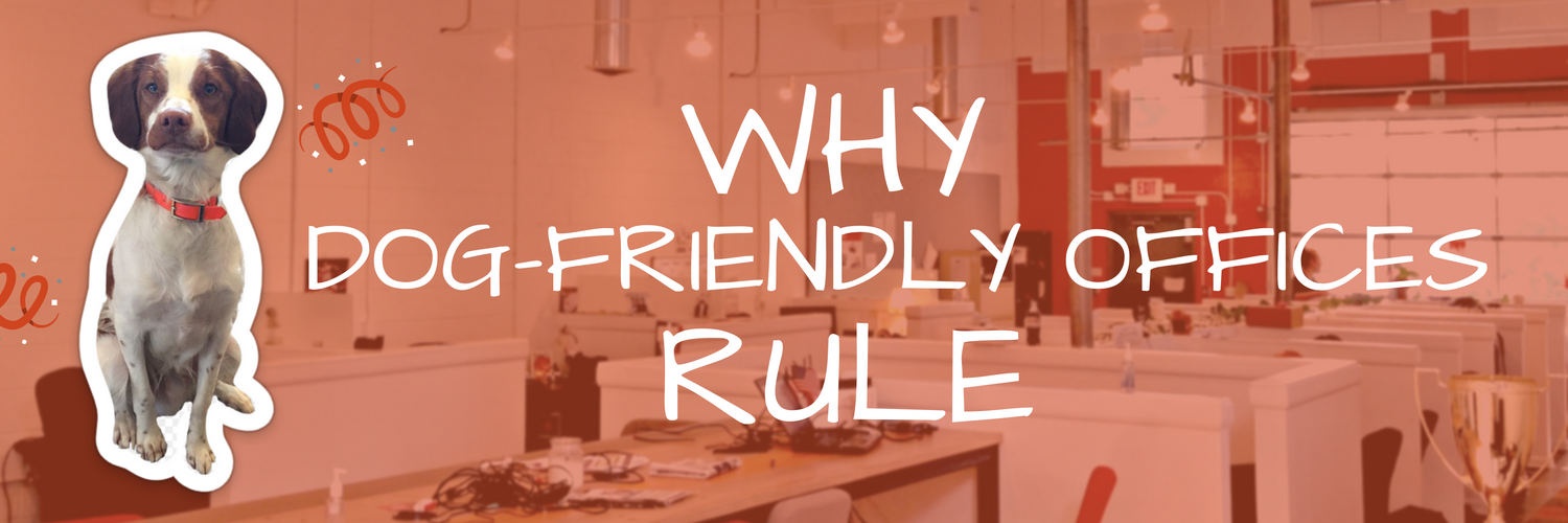 DogFriendly Offices Why We're Top 10